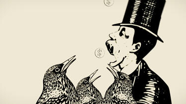 An illustration of a man in top hat stealing coins from birds