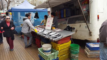 A fish vendor in Chile. Photo by Ahmed Mushfiq Mobarak.