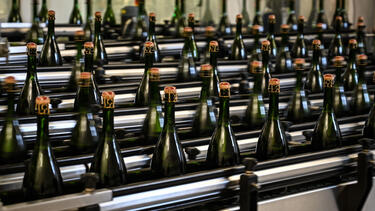 Champagne bottles on an automated assembly line
