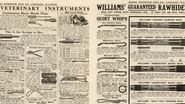The buggy whips page from the 1910 Sears, Roebuck & Co. "Harness, Saddles, and Saddlery Goods" catalog