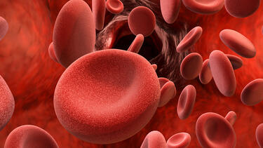 A rendering of red blood cells
