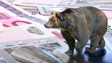 A photo illustration of a bear walking on Russian money