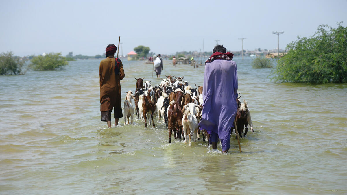 Pakistan's Long, Uncertain Recovery from Devastating Floods | Yale Insights