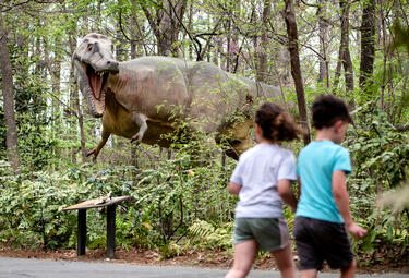 Dinosaur Trail at the Museum of Life and Science, Durham