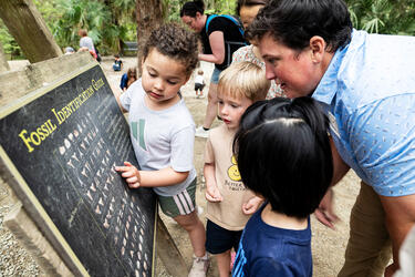 Exploring fossils on the Dinosaur Trail at the Museum of Life and Science, Durham