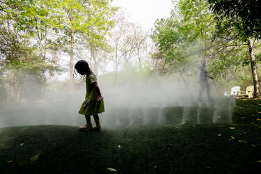 Soaking in Into the Mist at the Museum of Life and Science, Durham
