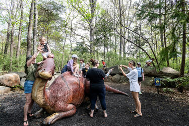 Dinosaur Trail at the Museum of Life and Science, Durham