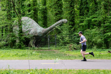 Runner passing the hidden dinosaur in Durham, NC
