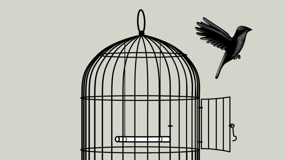A drawing of a bird escaping a cage