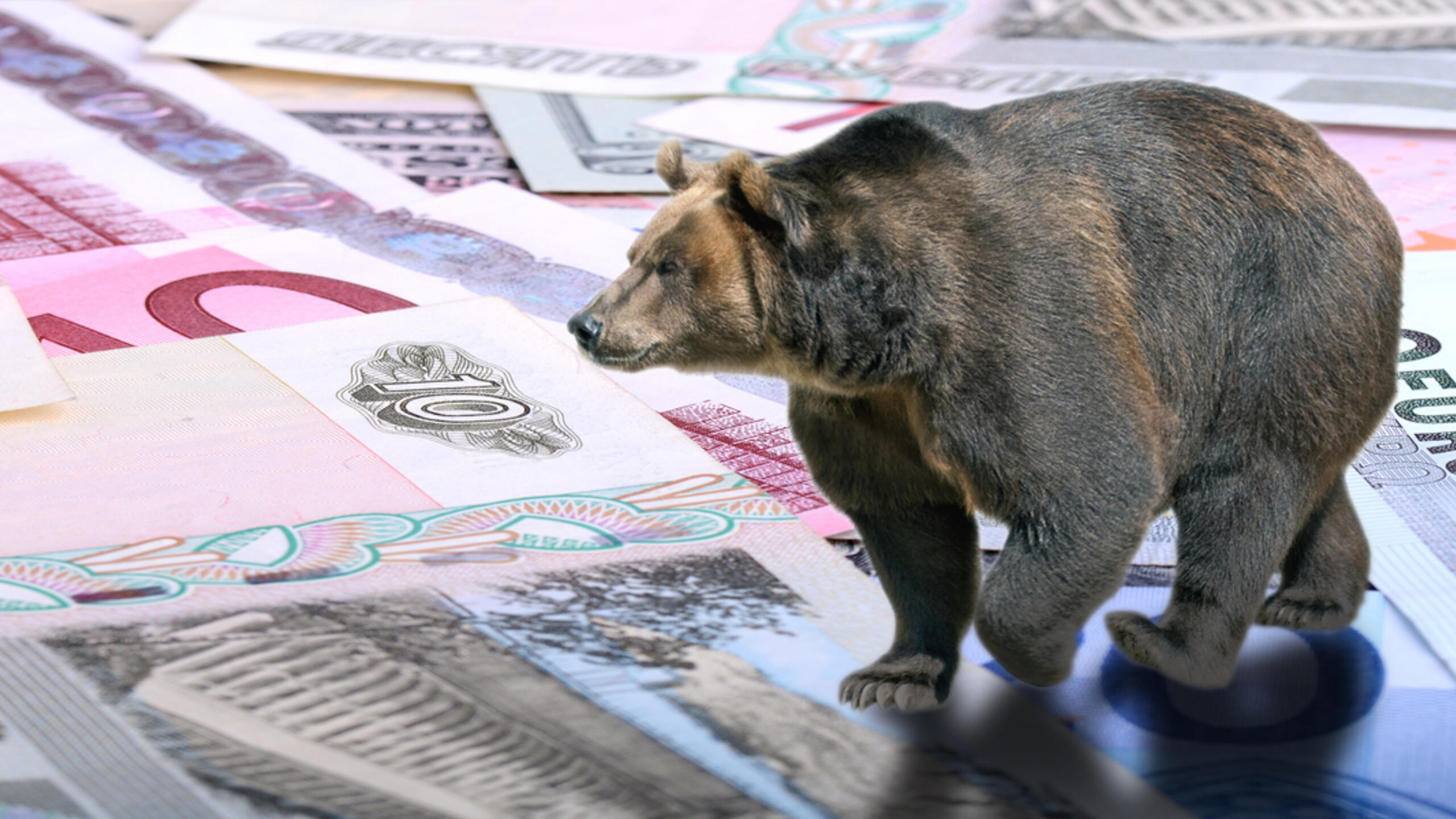 A photo illustration of a bear walking on Russian money