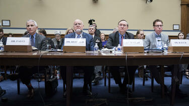 Federal officials testifying about the response to COVID-19 at a House Oversight Committee hearing on March 12, 2020. Photo: Sarah Silbiger/Bloomberg via Getty Images.