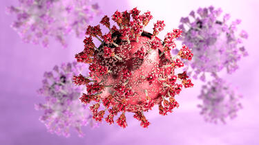 A rendering of the virus that causes COVID-19