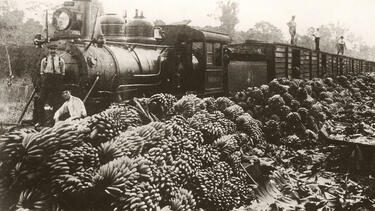 Bananas being loaded onto the United Fruit Company's Northern Railway in Costa Rica, circa 1915. 