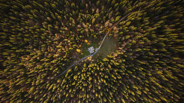 An aerial photo of a forest with a house in the middle