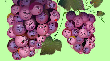 An illustration of bunches of grapes in which each grape is a human face