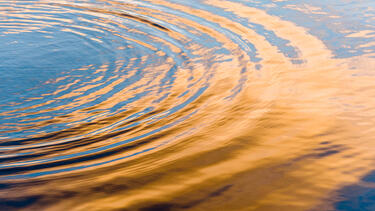 Ripples on water in the sun