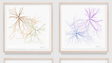 Prints from Maya Lin’s Ghost Forest Seedlings series