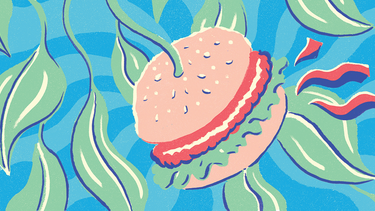 An illustration of a plant-based burger