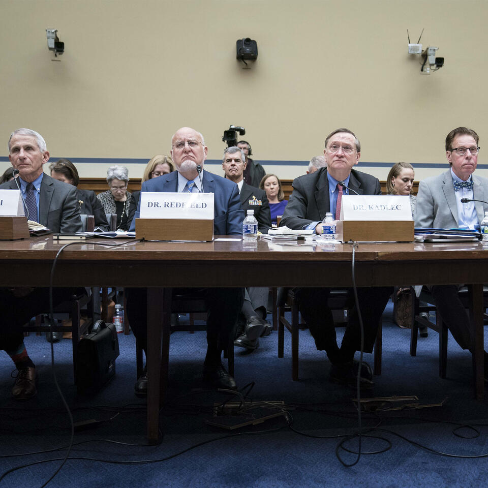 Federal officials testifying about the response to COVID-19 at a House Oversight Committee hearing on March 12, 2020. Photo: Sarah Silbiger/Bloomberg via Getty Images.