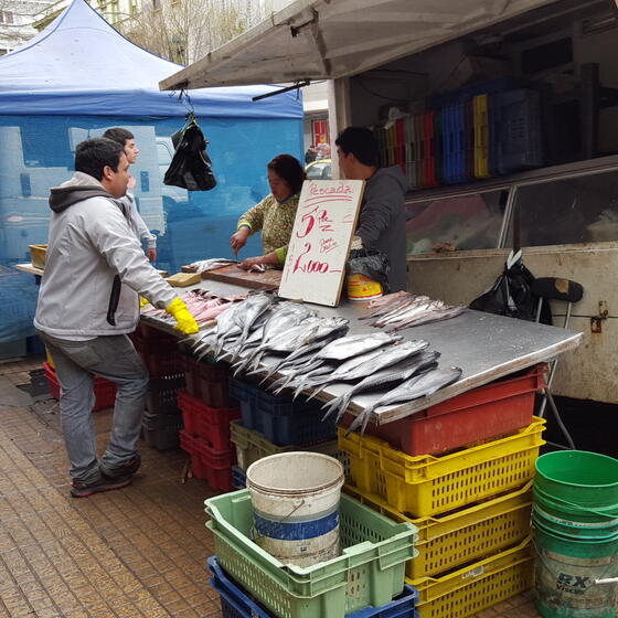 A fish vendor in Chile. Photo by Ahmed Mushfiq Mobarak.