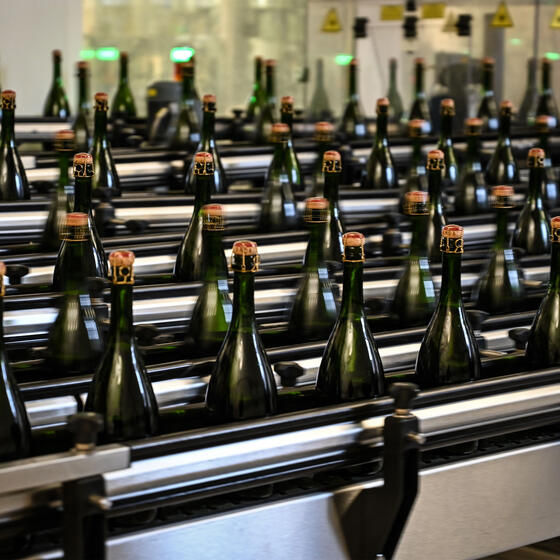 Champagne bottles on an automated assembly line