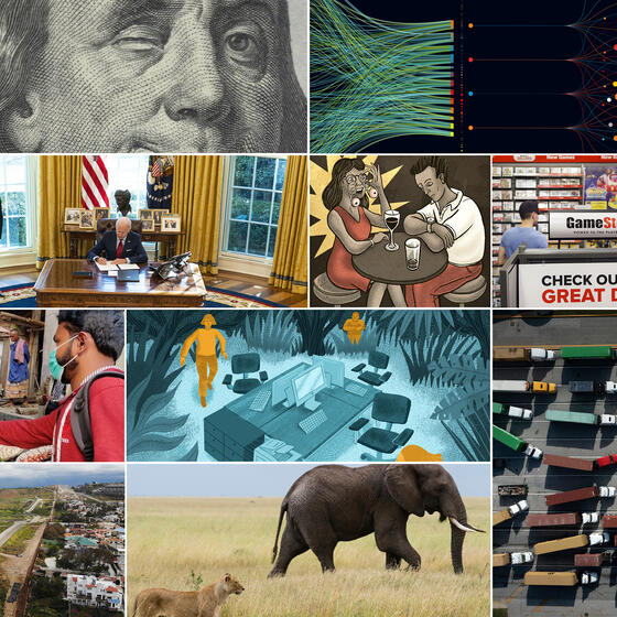 A collage of drawings and photographs from articles