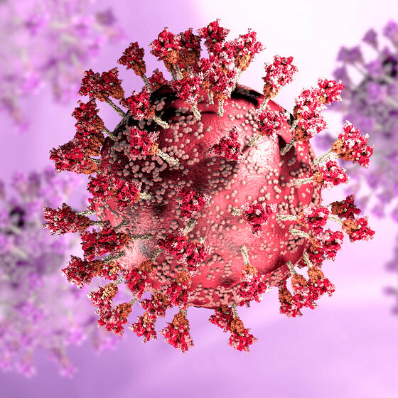 A rendering of the virus that causes COVID-19