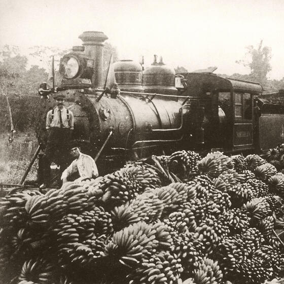 Bananas being loaded onto the United Fruit Company's Northern Railway in Costa Rica, circa 1915.