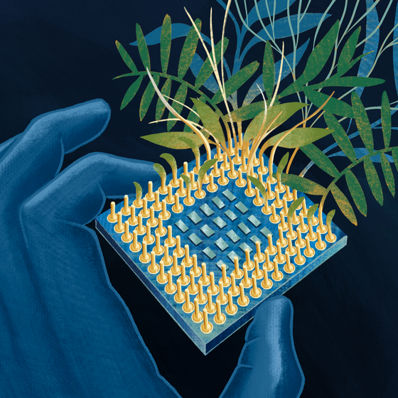 An illustration of an integrated circuit with plants growing out of it.