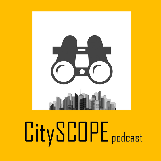 What are Opportunity Zones? What is at Stake?