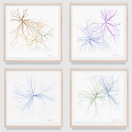 Prints from Maya Lin’s Ghost Forest Seedlings series