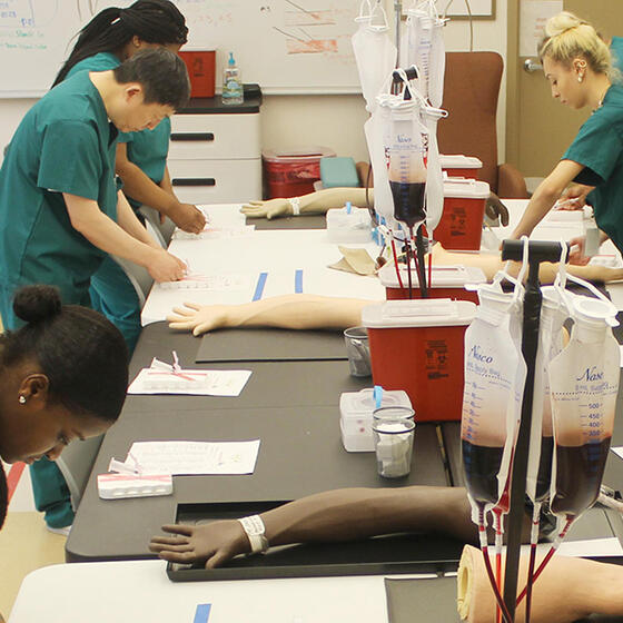 students in a phlebotomy class