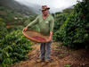 Brazilian coffee farmer Josias Gomes on his family's land in 2017. Photo: Mauro Pimentel/AFP via Getty Images.
