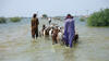 People wading through water with livestock