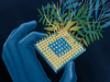 An illustration of an integrated circuit with plants growing out of it.