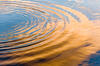 Ripples on water in the sun