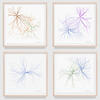 Prints from Maya Lin’s Ghost Forest Seedlings series